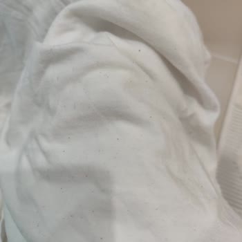 Siemens Çamaşır Makinesi Yıkama Sorunu