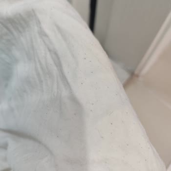 Siemens Çamaşır Makinesi Yıkama Sorunu