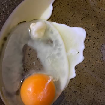 Keskinoğlu Marka Yumurtanın İçerisinden Civciv Oluşumu Çıktı.