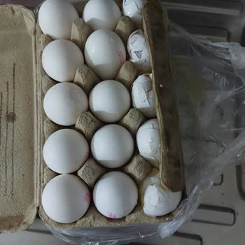 Migros Sanal Market Kırık Yumurta