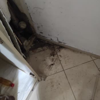 Türkiye Sigorta Sigorta Şirketi 1 Haftadır Su Kaçak Problemiyle İlgili Çözüm Üretemedi