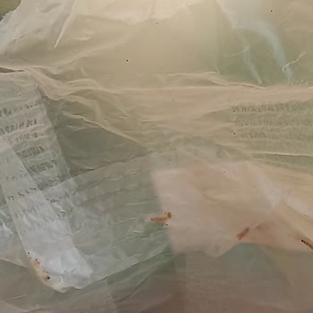 Komili Yuvam Kurtlu Kağıt Havlu