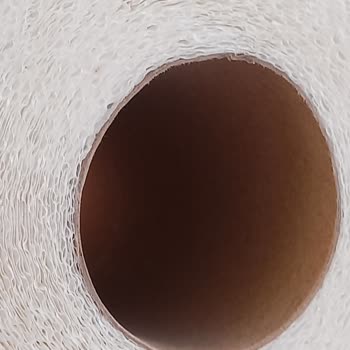 Komili Yuvam Kurtlu Kağıt Havlu