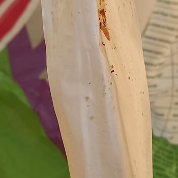 Komili Yuvam Kurtlu Kağıt Havlu