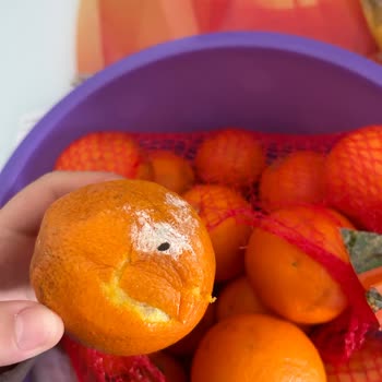 Şok Marketler Taze Beklerken Çürük Meyve Hayal Kırıklığı