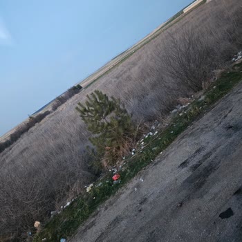 Buzlu Turizm Firmasının Doğayı Katletmesi