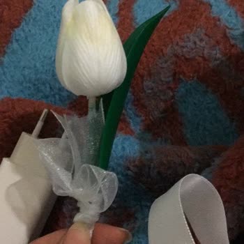 sipariş verirken her şey çok iyiydi!