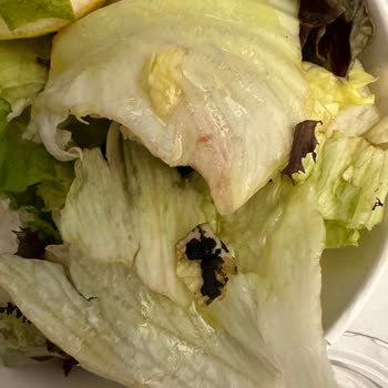 Dardenia Çamurlu Salata Gönderdi