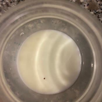 Aptamil Prosyneo 1 Numara İçinden Çıkan Bilinmeyen Siyah Bir Nokta