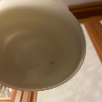 Aptamil Prosyneo 1 Numara İçinden Çıkan Bilinmeyen Siyah Bir Nokta