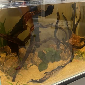 Creaqua Firmanın Ürünlerinin Kalitesizliği Ve Asla Muhatap Bulamıyorum