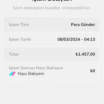 Nays Hesabımdan Para Transferi Sırasında Yaşanan Sorun