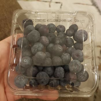 Migros Bozuk Yaban Mersinleri.