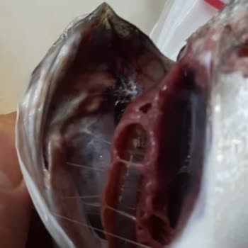 Carrefour SA Bozuk Balık Satışı