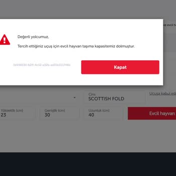 Anadolu Jet Evcil Hayvanla Seyahat Sistem Açığı
