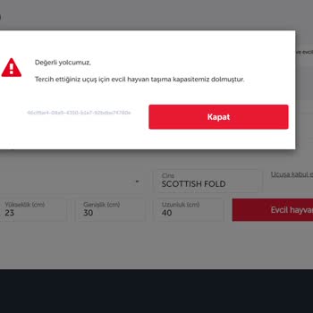 Anadolu Jet Evcil Hayvanla Seyahat Sistem Açığı