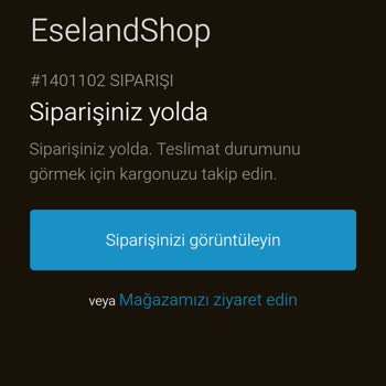 Eseland Shop'tan Satın Alınan Ürün Gönderilmedi!