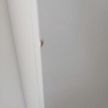 Trendyol Hasarlı Üründen Kaynaklı Tamamen Müşterinin Mağdur Olması.