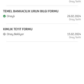 ING Bank 30 Gündür Basit Bir Sorunumu Çözemedi