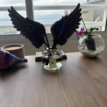 Jo Malone Oda Kokusu Hiç Kokmuyor