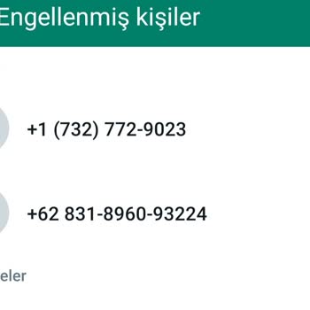 WhatsApp Yabancı Numaralar Arıyor