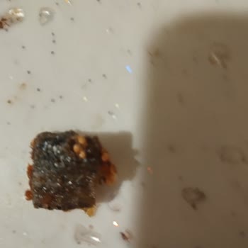Çerezya Ürün İçinden 1 Cm Taş Çıkması