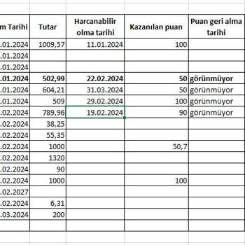 Chippin Cippin Puan Silinmesi (Bu Bir Aldatmaca)