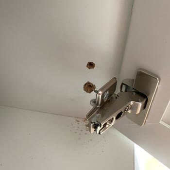 Kelebek Mobilya Kelebek Firması Kalitesiz Bir Firma Ve Ürününün Arkasında Durmuyor