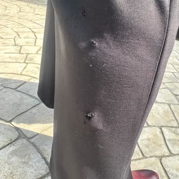 Ordu Büyükşehir Belediyesi Köpek Isırılma Şikayet