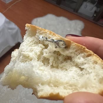 Türkiye Fırıncılar Federasyonu Güngören Miss Terke Fırın Dan Aldığım Ekmekten Zincir Kolye Çıktı