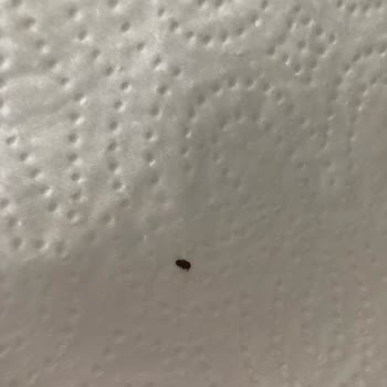 A101 Ovadan Marka Baldo Pirinç