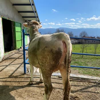 Ziraat Bankası Temsilci Değişikliği Kredi İsteğime Yanlış Davrandı