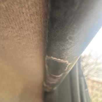 Dry Car Care İşinde İyi Değil