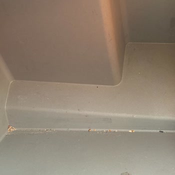 Dry Car Care İşinde İyi Değil