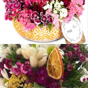 Taze Çiçek (tazecicek.com) 8 Mart Hayal Kırıklığı: Teslim Edilmeyen Ve Alakasız Çiçekler