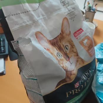 PttAVM Kargo Hasarıyla Gelen Kedi Maması Ve Teslimat Sıkıntısı