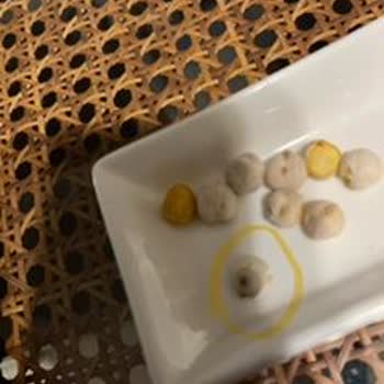 Salyangoz Peyman Dan Çıktı