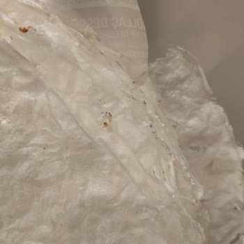 BİM Marketten Alınan Güllaçta Kurt Problemi