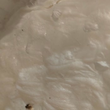 BİM Marketten Alınan Güllaçta Kurt Problemi