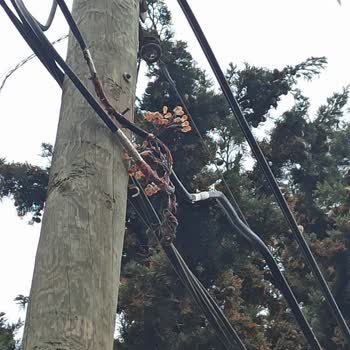 Türk Telekom Sık Sık Kopmalar Oluyor
