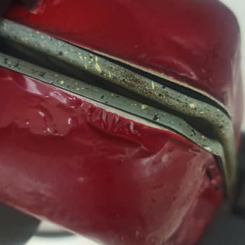 Karaca Tost Makinesinin Görsel Bozukluğu