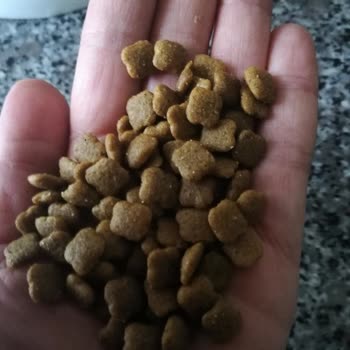 Epttavm Den Alınan Kuru Mama Orijinal Olmama