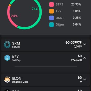 Bitay Selfkey Coin Erişim Problemi