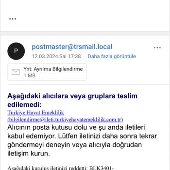 Türkiye Hayat Emeklilik BES Zorunlu Katılım İptali