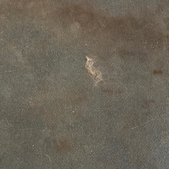 Domino's Pizza Temizlikten Uzak Personel