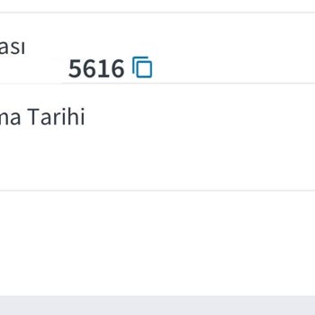 Dyson Türkiye Vahim Hali