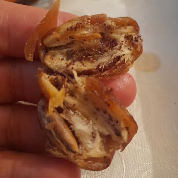 Makbul Kurtlu Hurmaları İnsan Sağlığını Tehlikeye Atıyor