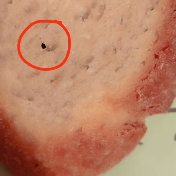 Seyhanlar Market (Bursa) Seyhanlar Market Ekmekten Böcek Çıktı