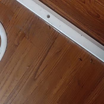 Güney Akdeniz Seyahat'te Huzursuz Yolculuk