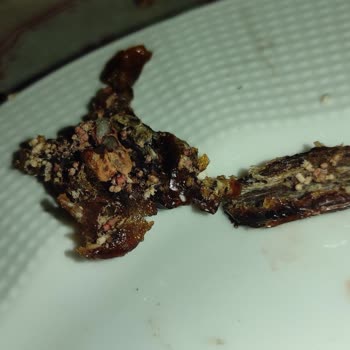 BİM List Nuts Mebrum Hurma